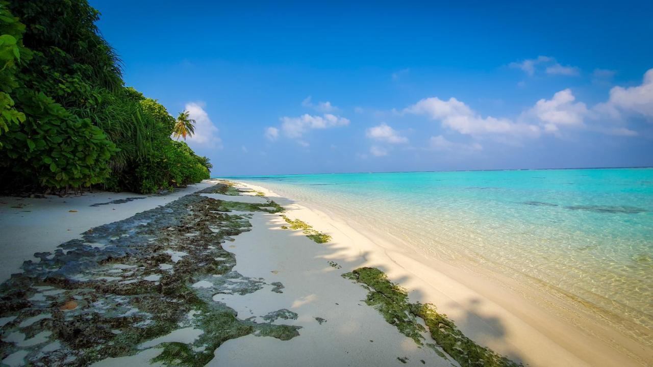 New Breeze Thoddoo Inn Luaran gambar