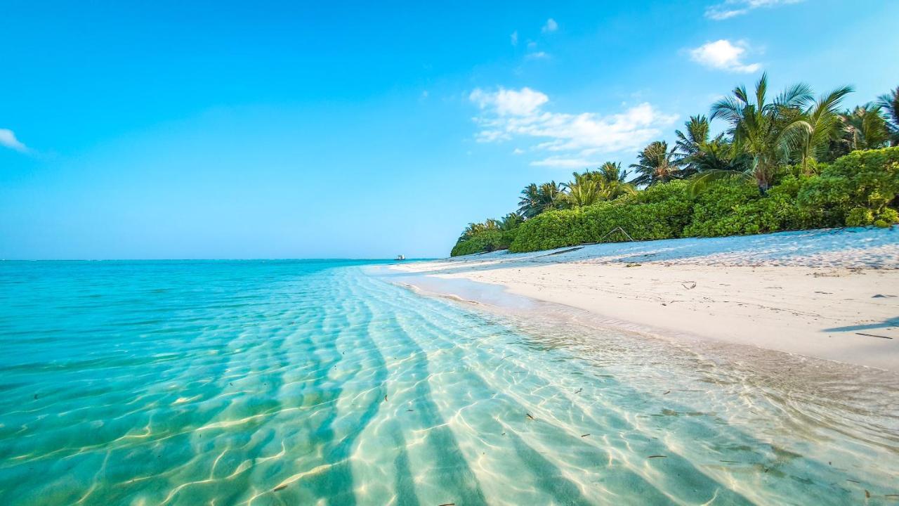 New Breeze Thoddoo Inn Luaran gambar