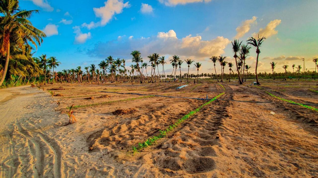 New Breeze Thoddoo Inn Luaran gambar